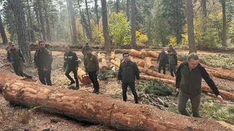Kahramanmaraş Orman Bölge Müdürü Cabaroğlu, karaçam sahalarını inceledi