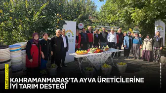 Kahramanmaraş’ta ayva üreticilerine iyi tarım desteği