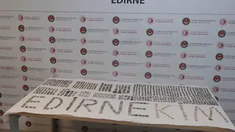Gümrük kapısında yapılan operasyonlarda 7 bin 160 tarihi eser yakalandı