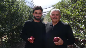 25 yaşındaki genç, babasının elma bahçesini 3 yılda 730 dönüm büyüttü