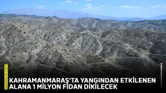 Kahramanmaraş'ta yangından etkilenen alana 1 milyon fidan dikilecek