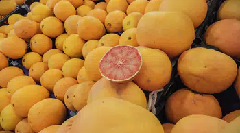 Turunçgil ihracatı yılın ilk çeyreğinde 697,7 milyon dolara ulaştı