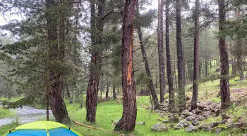 Bolu'da yıldırım düşmesi sonucu 3 kişi yaralandı