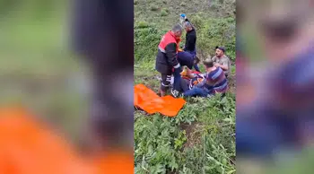Mantar toplarken ayının saldırısına uğradı!