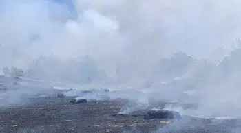 Park halindeki araçta çıkan yangın ormanlık alana sıçradı