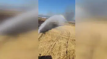 Anız yangınında 700 dönüm alan zarar gördü