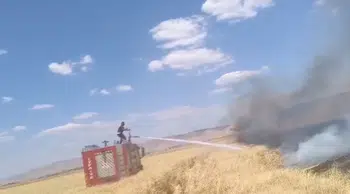 150 dönüm buğday ekili alan alev alev  yandı
