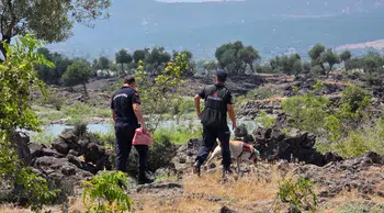 Hayvanlarını otlatmaya çıkaran kadın kayboldu!