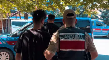 4 kişi çobanı silahla tehdit etti! 800 hayvanı yağmaladı