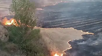 Anız yangınında 400 dekar tarım arazisi zarar gördü