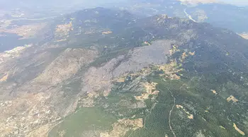 Ormanların korunmasına 6 ayda yaklaşık 16,5 milyar lira harcandı