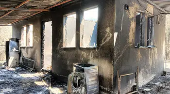 Orman yangınından etkilenen 5 ilde hasar tespit çalışmaları tamamlandı
