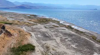 Van Gölü'nde aşırı yağışa rağmen kuraklık baskısı sürüyor