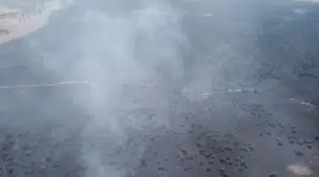 Elazığ'da ormana sıçrayan yangına müdahale ediliyor