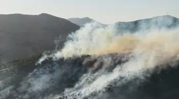 Bingöl'de orman yangını kontrol altına alındı