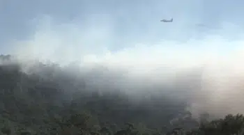 Muğla'da çıkan orman yangını! Ekipler sahada görevde