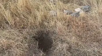 Yeni doğan bebeğin ölümüyle ilgili anne ve anneanne tutuklandı