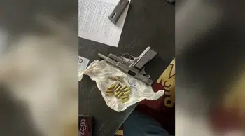 Van'da silah ve mühimmat ele geçirildi, 10 şüpheli tutuklandı