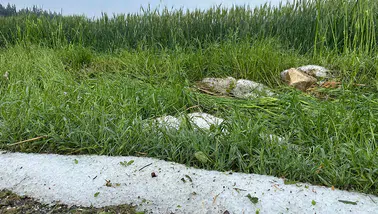 Osmaniye'de dolu ekili tarım alanlarına zarar verdi