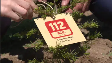 Ayla öğretmen ve öğrencilerinin adı hatıra ormanında dikilen fidanlarda yaşatılacak