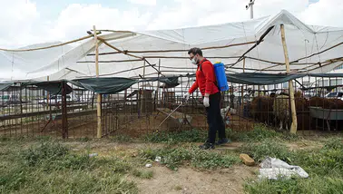 Kahramanmaraş’ta temizlik ve ilaçlama çalışmaları aralıksız devam ediyor