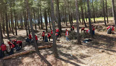 Kahramanmaraş’ta “Orman Benim” seferberliği başlıyor
