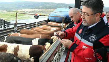 Bakan Yumaklı açıkladı! Kurbanlık hayvan arzında problem yok