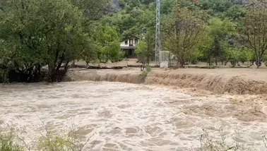 Aşırı yağış nedeniyle dereler taştı! Araziler ve evler sular altında kaldı