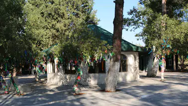 Kahramanmaraş’ta Elif Ana türbesi yerleşkesine saldıran şüpheli yakalandı
