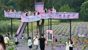 Osmaniye'de Lavanta ve Zeytin Çiçeği Festivali düzenlendi