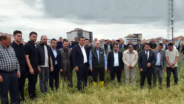 TZOB Genel Başkanı Bayraktar, zarar gören tarım arazilerini inceledi