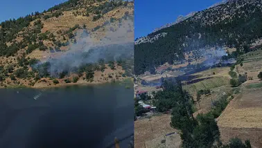 Kahramanmaraş’ta çıkan orman yangını kontrol altına alındı