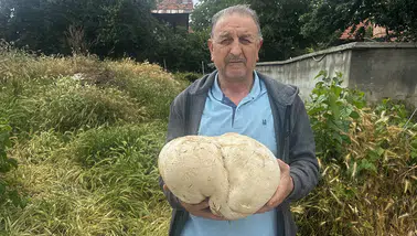 Çiftçi, bahçesinde 3 kilo 470 gram mantar buldu