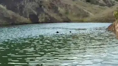 Sulama göletine giren bir çocuk daha boğuldu