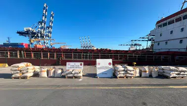 İstanbul Ambarlı Limanı'nda 3 ton pregabalin ele geçirildi