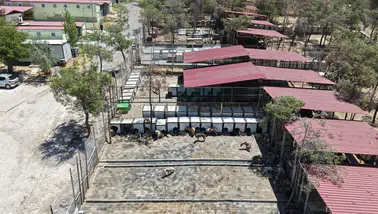 Kahramanmaraş’ta 5 binin üzerinde can dosta güvenli yaşam alanı