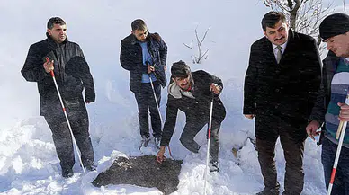 Beyaz Bastonlular, Ahir Dağı’nda doğaya yem bıraktı!