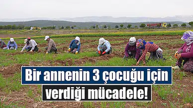 Bir annenin 3 çocuğu için verdiği mücadele!