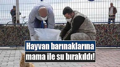 Hayvan barınaklarına mama ile su bırakıldı!