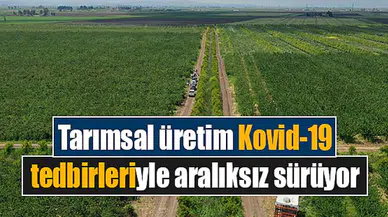 Tarımsal üretim Kovid-19 tedbirleriyle aralıksız sürüyor
