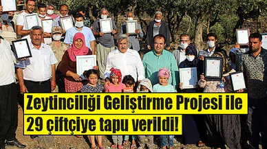 Zeytinciliği Geliştirme Projesi ile 29 çiftçiye tapu verildi