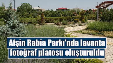 Afşin Rabia Parkı'nda lavanta fotoğraf platosu oluşturuldu