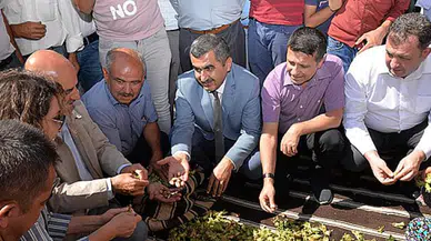 Kahramanmaraş’ta ‘Fındık Hasat Günü’ düzenlendi!