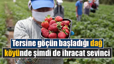 Tersine göçün başladığı dağ köyünde şimdi de ihracat sevinci