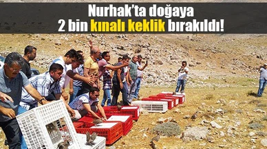 Nurhak’ta doğaya 2 bin kınalı keklik bırakıldı!
