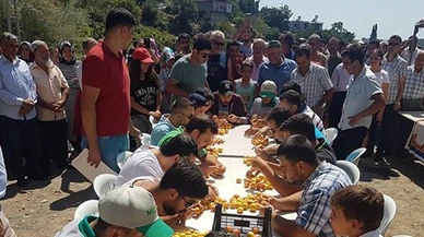 Geleneksel Kayısı Festivali’ne yoğun ilgi! 