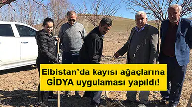 Elbistan’da kayısı ağaçlarına GİDYA uygulaması yapıldı!