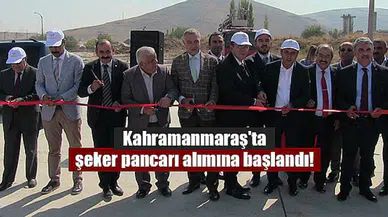 Kahramanmaraş'ta şeker pancarı alımına başlandı!