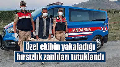 Özel ekibin yakaladığı hırsızlık zanlıları tutuklandı