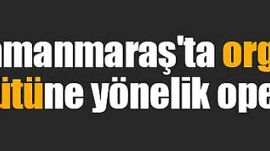 Kahramanmaraş'ta organize suç örgütüne yönelik operasyon!